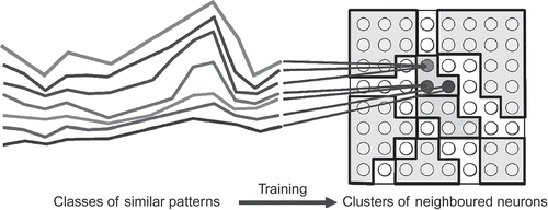 Figure 3. During training, patterns of data are mapped to the net, building clusters of similar types.