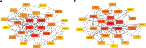 Figure 5 The top 25 hub genes. (A) For downregulated miRNAs; (B) for upregulated miRNAs.