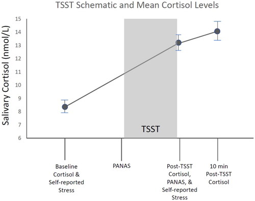Figure 1. Schematic of TSST and measures. The TSST (Kirschbaum et al., Citation1993) consisted of 5 min of anticipation, 5 min speech, and 5 min mental math periods. The current report addresses salivary cortisol taken at baseline, immediately post-TSST, and 10 min post-TSST. The PANAS-now (Watson et al., Citation1988) was administered immediately pre-TSST and immediately post-TSST. The question “How stressed are you now?” was assessed at baseline and immediately post-TSST. No self-report measures were administered at 10 min post-TSST. Mean cortisol levels at each time point are depicted.