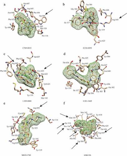 Figure 3. Interactions between EZH2 and the five candidate inhibitors. (a) Binding of C769-0015. (b) Binding of E218-0093. (c) Binding of L309-0080. (d) Binding of L501-1669. (e)Binding of M022-1782. (f) Binding of GSK126. Five candidate inhibitors are displayed as mesh surfaces in greed. Hydrogen bonds are indicated by broken red lines. The amino acid residues of EZH2 involved in hydrogen bonding and hydrophobic interaction are presented as stick models. The black arrows highlight the key residues involved in hydrogen bonding, other amino acids are involved in hydrophobic interactions