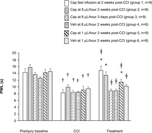 Figure 1 Intrathecal capsaicin increased PWL to noxious thermal stimulation in paw ipsilateral to nerve injury.