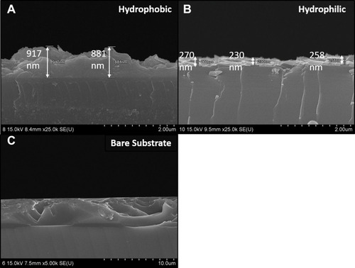 Figure 6 Field emission scanning electron microscopic images of rGO and GO. (A) rGO with hydrophobic surface. (B) GO with hydrophilic surface. (C) Substrate without coating.