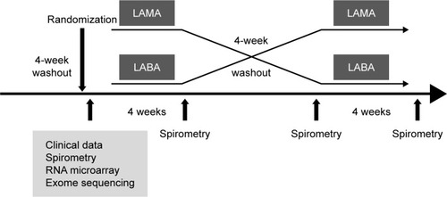 Figure 1 Study design.