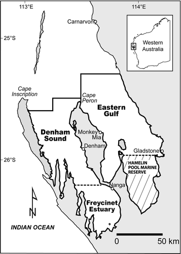 Fig. 1  Denham Sound, Freycinet Estuary and Eastern Gulf areas of inner Shark Bay, Western Australia. Boundaries represent recreational fishing areas for management purposes and are taken to delineate the approximate distributions of the three Pagrus auratus stocks in this study. Hamelin Pool is a marine nature reserve and closed to all fishing.