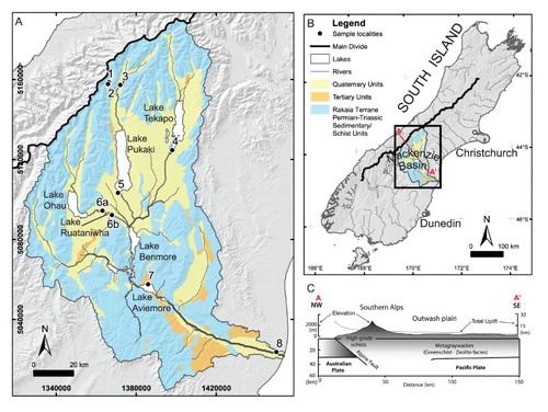 Figure 1. Maps showing the location and setting of the Waitaki catchment. A , Generalised geological map with water sampling locations indicated with Station number. B , Location of the catchment in the South Island of New Zealand and line of section for C, idealised cross section showing the topography relative to the Alpine Fault, with the highest elevation in the Southern Alps corresponding to the location of the main divide (after Koons, Citation1990).