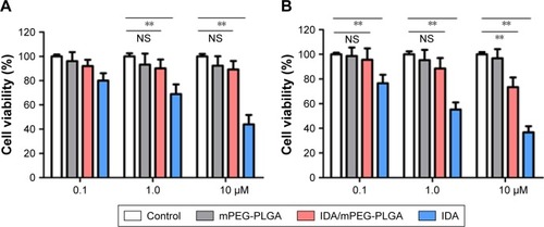 Figure 4 Cytotoxicity of mPEG-PLGA1 NPs, IDA/mPEG-PLGA NPs, and IDA in L929 cells and normal human CD34+ HSPCs.Notes: (A and B) The cell viability was measured in murine L929 cells and normal human CD34+ HSPCs treated with different concentrations of mPEG-PLGA1 NPs, IDA, and IDA/mPEG-PLGA1 NPs for 24 hours (**P<0.01 vs control group; NS, nonsignificant between control group and IDA/mPEG-PLGA NPs).Abbreviations: HSPCs, hematological stem and progenitor cells; IDA, idarubicin; mPEG-PLGA, methoxy poly(ethylene glycol)-b-poly(l-lactide-co-glycolide); NPs, nanoparticles.