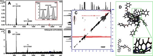 Figure 2 FT-MS and NOESY 2D1H NMR spectra of BCESA. (A) FT-MS spectrum of BCESA in ultrapure water (1 nM), the spectrum of the tetramer (2378.00696) is locally amplified and inserted; (B) qCID spectrum of BCESA in ultrapure water (1 nM); (C) NOESY 2D1HNMR spectrum of BCESA, in which an interesting cross-peak is marked with red ring; (D) Energy-minimized conformations of the monomer and the tetramer, in the impeller-like conformation of the tetramer the distance is locally amplified and inserted.Abbreviation: BCESA, N-[(3-Benzyloxycarbonyl-β-carboline-1-yl)ethyl]-Ser-Ala-OBzl.