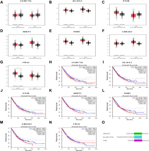 Figure 9 Differential expression and survival analysis of target genes. (A–G) The expression of CCDC71L, ELAVL, FN3K, MIEF1, NOB1, UBE2G1, VWA1 between lung cancer samples and normal samples. (H–N) Kaplan-Meier survival curves of CCDC71L, ELAVL, FN3K, MIEF1, NOB1, UBE2G1, VWA1 between lung cancer samples and normal samples. (O) ABALON-miR-139-3p-NOB1 base complementary binding situation.