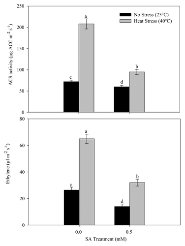 Figure 7. Leaf ACS activity and ethylene in wheat (Triticum aestivum L.) cv WH 711 at 30 DAS. Plants were grown with/without heat stress and treated with foliar 0.5 mM SA at 15 DAS. Data are presented as treatments mean ± SE (n = 4). Data followed by same letter are not significantly different by LSD test at p < 0.05. ACS; 1-aminocyclopropane carboxylic acid synthase.