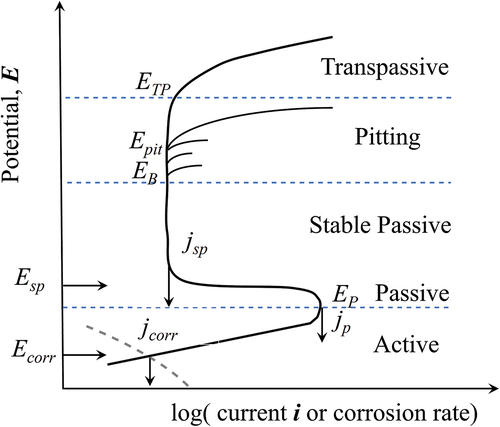 Figure 11. Schematic potential–current curves for metallic passivation, passive-film breakdown, pitting dissolution, and transpassivation; Ecorr is the corrosion potential; EP is the passivation potential; ESP is stable passivation potential; Eb is the film breakdown potential, Epit is the pitting potential, and ETP is the trans passivation potential, dash black line – cathodic curve. Each potential is coupled with corresponded current density. Extended Figure1.6 from [Citation79].