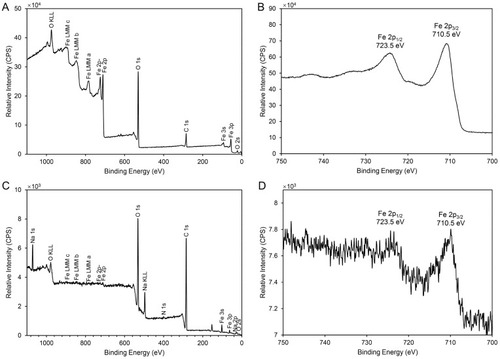 Figure 6 The XPS spectra of FNs and FNMs.Notes: XPS survey spectrum (A) and Fe 2p XPS spectrum (B) of FNs; XPS survey spectrum (C) and Fe 2p XPS spectrum (D) of FNMs.Abbreviations: XPS, X-ray photoelectron spectroscopy; FNs, magnetic ferrite nanoclusters; FNMs, magnetic polymer microspheres.