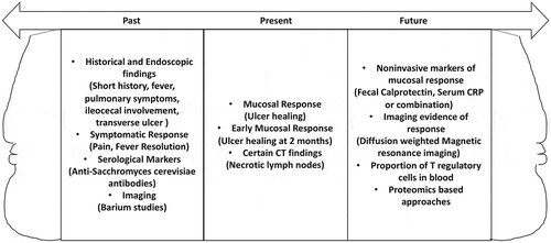 Figure 1. Janus shaped pictorial representation of the parameters used for diagnosis of intestinal tuberculosis in the past, currently or likely to be of use in future. These apply to cases where the diagnosis is un clear after routine microbiological and histological tests.