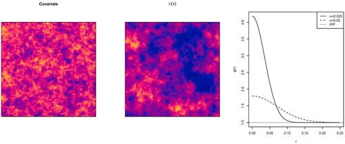 Figure 1. Model 1: Gaussian random field used as spatial covariate (left), first-order intensity function of the Poisson point process (center), and pair correlation function of the Thomas cluster point processes with parent points intensity proportional to λ(x) and μ=5.