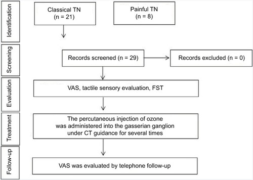 Figure 1 The flow diagram of therapeutic process.