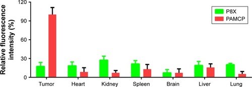 Figure 8 The mean relative fluorescence intensities of different organs calculated by Carestream MI SE software.Notes: Values are the mean ± SD. P8X, peptide with sequence CPIAHRHY.Abbreviations: PAMCP, PGA–Asp–maleimide–cisplatin–peptide complex; PGA, poly-γ-glutamic acid.