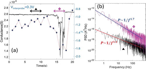 Figure 10. Ag-PVP NWN conductance time series double-probe measurement and corresponding exponent β of power-law fit to power spectral density (PSD) shown in (b) for two different dynamical regimes indicated by black and pink intervals in (a). Reprinted from Diaz-Alvarez et al. [Citation55]