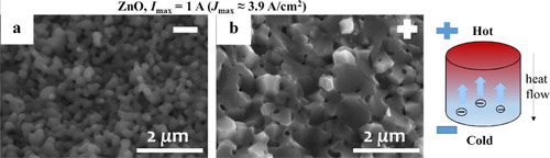 Figure 25. SEM micrographs of the fractured surfaces of FSed ZnO (300 V cm−1, DC): (a) near the anode; and (b) cathode, respectively. (Adapted from Zhang et al. [Citation56]). A schematic of the Peltier effect occurring during FS for an n-type semiconductor was added by us.