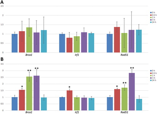 Figure 3. Changes in mouse gene expression levels in CD1 mice treated with F. pinicola extract over time. A. Changes in gene expression levels in the plasma. B. Changes in gene expression levels in the liver tissues. Bars represent the mean and standard error (n = 3). Statistically significant differences vs. baseline are shown at *P < 0.05, **P < 0.01.