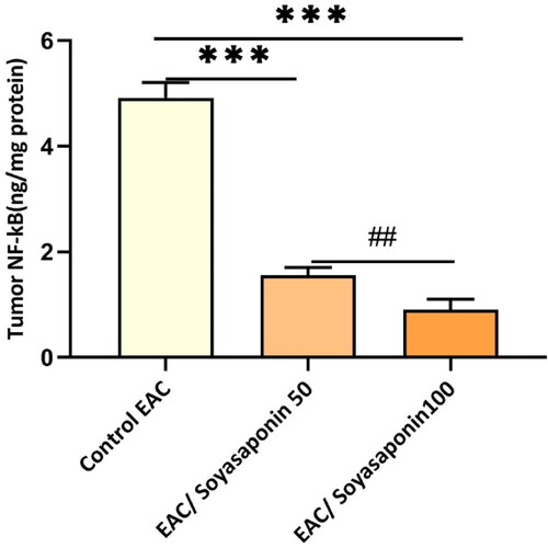 Figure 6. Effect of Soyasaponin IV (50 and 100 mg/kg) on NF-κB in Ehrlich’s carcinoma solid tumors growing in female mice. ***P < 0.001 vs. control group, ##P < 0.01 vs. Soyasaponin IV (100 mg/kg).