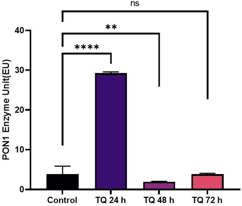 Figure 3. Modulating effects of TQ on PON 1 enzyme activity in human glioblastoma cells U87MG.
