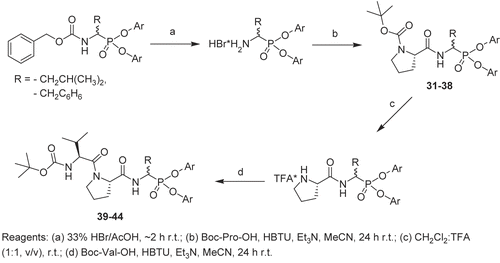 Scheme 2.  Synthesis of peptidyl derivatives of α-aminoalkylphosphonate diphenyl esters. Reagents: (a) 33% HBr/AcOH, ~2 h room temperature (r.t.); (b) Boc-Pro-OH, HBTU, Et3N, MeCN, 24 h r.t.; (c) CH2Cl2/TFA (1:1, v/v), r.t.; (d) Boc-Val-OH, HBTU, Et3N, MeCN, 24 h r.t.