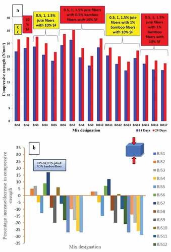 Figure 3. a) Compressive strength and b) percentage of increase/decrease in compressive strength of concrete with jute and bamboo fibers.