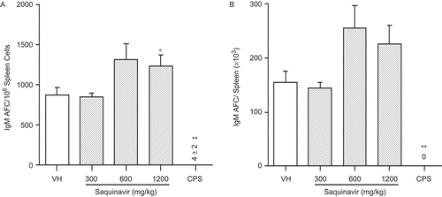Figure 1.  SQV effects on IgM AFC response in female B6C3F1 mice. Animals were treated with 0.5% methylcellulose (VH) or SQV, and the number of IgM AFC was determined as described. The positive control animals received 50 mg/kg of cyclophosphamide (CPS) on the last 4 days of the exposure period by intraperitoneal injection. Data are presented as (A) AFC/106 spleen cells and (B) AFC/spleen. Values represent the mean (±SE) derived from eight animals. *P ≤ 0.05 or **P ≤ 0.01 vs. VH control.
