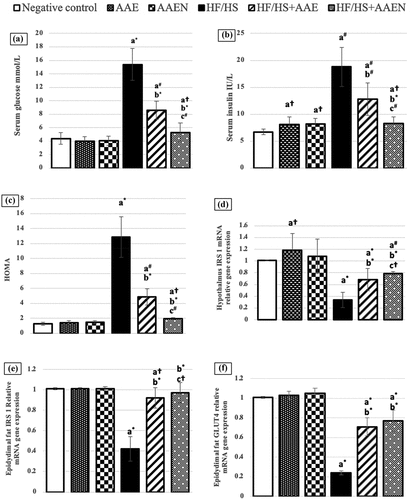 Figure 10. Effects of Artemisia extract and Artemisia extract nanoparticles on (a) Serum glucose, (b) Serum insulin (c) HOMA index and relative mRNA gene expression of (d) IRS 1 in the hypothalamus (e) IRS 1 in epididymal fat and (f) GLUT4 in epididymal fat in rats fed on a basal or HF/HS diet. Data are displayed as the mean ± SD. The letters a, b, and c represent significant differences from the negative control, positive control, and HF/HS + AAE groups, respectively. †, #, and * demonstrate statistical significance at p < 0.05, p < 0.01, and p < 0.001, respectively, using one-way ANOVA followed by the Post hoc tests.