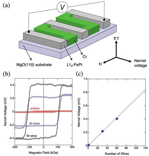 Figure 6. (a) The thermopile where ferromagnetic L10-ordered FePt wires and nonmagnetic Cr wires are connected alternatively in series. Each wire has a size of 6 mm length, 5 μm width, and an interval of adjacent wires of 5 μm. An electromotive force between both edges of thermopile is measured as the Nernst voltage at room temperature with out-of-plane ∇T and in-plane H. (b) The Nernst voltage as a function of magnetic field with different numbers of FePt wires. (c) The ANE voltage as a function of the number of FePt wires [Citation16].