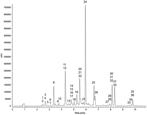 Figure 1. Representative UV chromatogram (320 nm) of the methanolic extract of Iris adriatica rhizome (Sample 1). For compound identities see Table 1, for experimental conditions refer to Materials and methods.