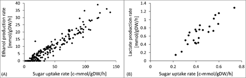 Figure 6. (A) Ethanol production rate vs. sugar uptake rate in different S. cerevisiae cultures (dataset from [Citation77]); (B) Lactate production vs. sugar uptake rate in in vitro preparations of rat small intestine (data from [Citation107]).