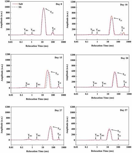 Figure 4. Distribution of T2 relaxation times for dry-cured beef during processing. Salt = dry-cured beef treated with salt; SS = dry-cured beef treated with salt substitute (39.7% of NaCl, 51.3% of KCl and a mixture of 7% L-lysine and 2% L-histidine)