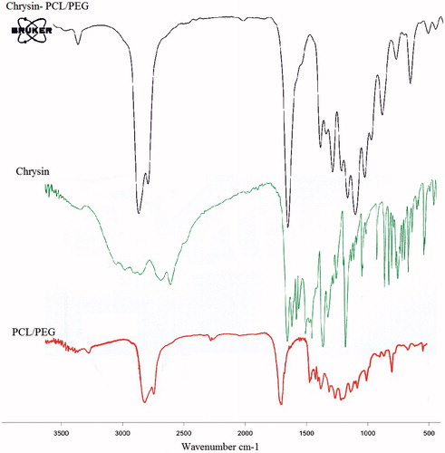 Figure 3. Infrared spectra of PCL/PEG, Chr and Chr-loaded PCL/PEG nanofibers.