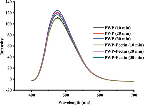 Figure 4. Effects of ALM pectin on surface hydrophobicity of polymerized whey proteins prepared by different heating times.Figura 4. Efectos de la pectina ALM en la hidrofobicidad superficial de las proteínas de suero polimerizadas y preparadas mediante calentamiento de distinta duración.