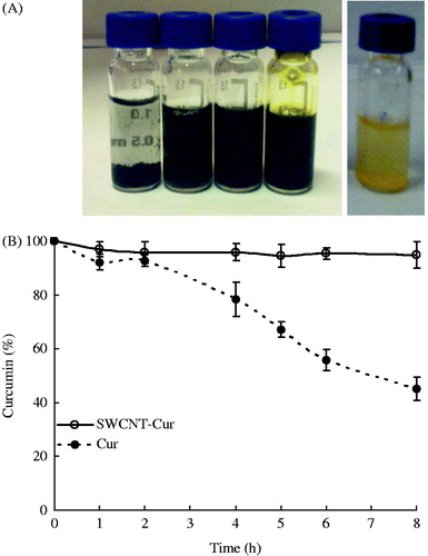 Figure 1. Influence of SWCNTs-Cur on the solubility and stability of curcumin. (A) Solubility of the formulation in PBS. Left to right: SWCNTs, oxidated SWCNTs, surfactant-dispersed oxidated SWCNTs, SWCNTs-Cur formulation and curcumin. (B) Stability of curcumin in PBS.