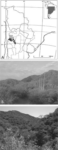 Figure 1. Depiction of the study sites. A. Map showing location of the study area. B. A representative site of the Chaco region C. A representative site of the Yunga region.