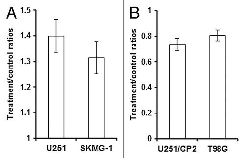 Figure 4. IL-7 promoted the growth of glioma cells.(A) rhIL-7 promoted the growth of U251 and SKMG-1 cells. (B) IL-7 siRNA inhibited the growth of U251/CP2 and T98G cells.