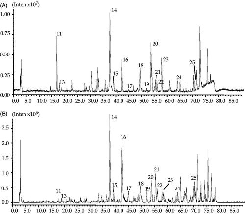 Figure 4. Total ion chromatograms of STC in (A) positive mode and (B) negative mode.