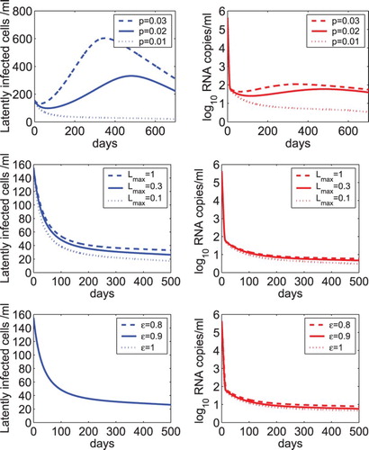 Figure 7. Sensitivity tests of the model with homeostatic proliferation of latently infected cells (Equation (Equation28(27) α(a)=12πσae−(lna−μ)2/2σ2+amin,a>0,(27) )) on parameters. Upper panel: The dynamics of latently infected cells and viral load predicted by model (Equation28(27) α(a)=12πσae−(lna−μ)2/2σ2+amin,a>0,(27) ) with different homeostatic proliferation rates of latently infected cells, that is, p=0.03, 0.02, and 0.01 day−1. The carrying capacity of latently infected cells was fixed at Lmax=0.3 cells ml−1 and the overall drug efficacy was fixed at ϵ=0.99. Middle panel: The predicted dynamics with different carrying capacities of latently infected cells, that is, Lmax=1, 0.3, and 0.1 cells ml−1. The homeostatic proliferation rate of latently infected cells was fixed at p=0.01 day−1. Lower panel: The predicted dynamics by model (Equation28(27) α(a)=12πσae−(lna−μ)2/2σ2+amin,a>0,(27) ) with different drug effectiveness, that is, ϵ=0.8, 0.9, and 1. Lmax was fixed at 0.3 cells ml−1 and p was fixed at 0.01 day−1. The other parameter values are the same as those listed in Table 1.