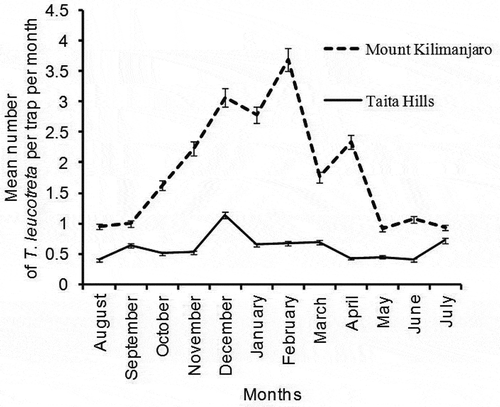 Figure 6. Mean number of T. leucotreta trapped per month at Taita Hills and Mount Kilimanjaro study areas