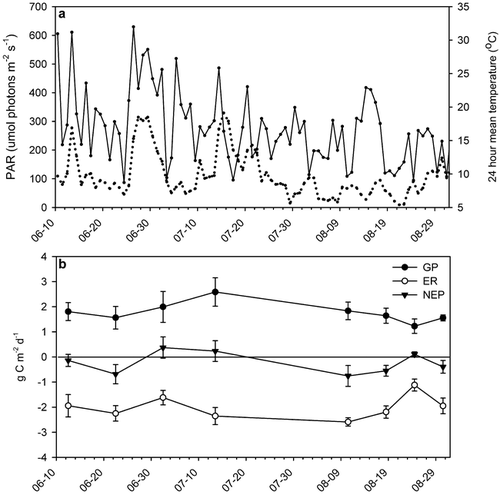 FIGURE 2. (a) Photosynthetically active radiation (PAR, solid line) and air temperature (dotted line) during the flux measurements in 1999. (b) Gross ecosystem production (GP), ecosystem respiration (ER), and net ecosystem production (NEP) at control plots in 1999