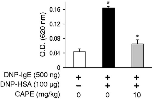 Figure 3. The effect of CAPE on IgE-mediated passive cutaneous anaphylaxis (PCA) in mice. Anti-DNP IgE was injected into dorsal skin sites. CAPE was intraperitoneally administered 1 h before a challenge with 100 µg of DNP–HSA. The amounts of dye were extracted and measured by spectrometer. All the data are shown as the mean ± SD from at least three independent experiments performed in triplicate. #p < 0.05, compared with IgE alone values. *p < 0.05, compared with IgE + HSA values.