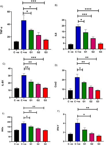 Figure 2. The in vivo effectiveness of 3-hydrazinoquinoxaline-2-thiol using mice model against Candida albicans ATCC 10231. When 3-hydrazinoquinoxaline-2-thiol was administered to mice at various concentrations (0.002, 0.02, and 0.2 mg/ml), we noted a notable decrease in the levels of various inflammatory markers in comparison to the infected mice group that did not receive any treatment. This reduction was statistically significant, with a p-value below 0.05. G1 represents group received 0.002 mg/ml, G2 represents group received 0.02 mg/ml, G3 group received 0.2 mg/ml. (A) TNF-A, (B) IL6, (C) IL-B1, (D) Cox2, (E) INOs, (F) IFN-Y. The levels of TNF-A, IL6, IL-B1, Cox2, iNOS, and IFN-Y were measured in picograms per milliliter (pg/ml) for each respective inflammatory marker.