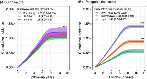 Figure 1. The cumulative risk of gastrointestinal cancer incidence according to birthweight and genetic risk. PY: person-years. (A) The cumulative risk of gastrointestinal cancer incidence in birthweight during follow-up. (B) The cumulative risk of gastrointestinal cancer incidence in low, intermediate, and high genetic risk groups during follow-up.