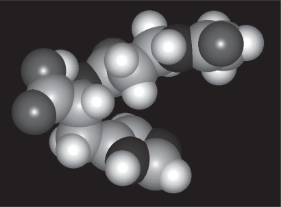 Figure 3 Can-C™ N-acetylcarnosine lubricant eye drops developed, manufactured at the cGMP manufacturing facility and worldwide patented by Innovative Vision Products, Inc, Formulation.Citation21–Citation23 The composition is in the form of isotonic solution. Because the composition is applied to the eye, the composition is sterile. The isotonicity of ophthalmic preparation was measured and adjusted as calculated correctly by addition of small concentrations of sodium chloride. The specification of the unique nonracemized natural (l)-isomer form of N-acetylcarnosine (see 3D structural formula) recipient included in the Can-C™ is presented in Table 1.