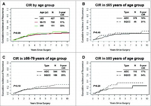 Figure 2. Analysis of disease recurrence and age groups in non-small cell lung cancer patients. (A) Cumulative incidence of recurrence at 5 years, by age group, in Stage I non-small cell lung cancer (n = 1,278). (B-D) Cumulative incidence of recurrence at 5 years by age group and non-small cell lung cancer histologic subtype; (B) ≤65 (C) 66–79 and (D) ≥80 years of age. ADC, adenocarcinoma; SCC, squamous cell carcinoma; CIR, cumulative incidence of recurrence.