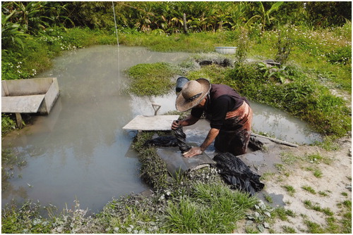 Figure 1 Kazuhito Kanai, the Shachō (company president) of Kanai Kougei, dyeing Oshima tsumugi yarn in the dorota (mud-field).