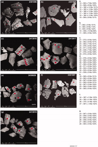 Figure 10. Back-scatter electron microscope images of representative monazites from samples of the Radium Ridge Breccia: (a) 2381596; (b) 2381600; (c) 2413916; (d) 2413917; (e) 2430629; (f) 2381597; (g) 2413919.