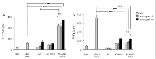 Figure 2. Both undifferentiated ASC and ASC-derived adipocytes (adipose cells, AC) polarize T cells toward the Th17 lineage and down-regulate Th1 cytokines. ASC differentiation was carried out for 8 d or 14 d as indicated. Cell culture supernatants of MNC co-cultured or not with undifferentiated ASC (light gray bars), differentiated adipocytes at day 8 (gray bars) or at day 14 (black bars), and activated by PHA or not, were analyzed by ELISA for the secretion of IL-17A (A) and TNFα (B). Co-cultures were in a 1:5 ratio (20,000 ASC/adipocytes for 100,000 MNC). Error bars represent standard deviations from n ≥ 3 independent experiments. ***p < 0.001 as tested by one-way ANOVA followed by Bonferroni's multiple comparison test. n.s not statistically significant for each combinatorial comparisons within the 3 bars.