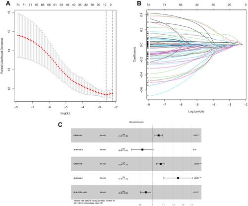 Figure 1 Selection of lncRNA using Lasso regression. (A) Lasso coefficient of the five included lncRNAs. (B) Profiles of Lasso coefficients. (C) Univariate analysis of included lncRNAs from the samples. *P<0.05; **P<0.01, ***P<0.001.